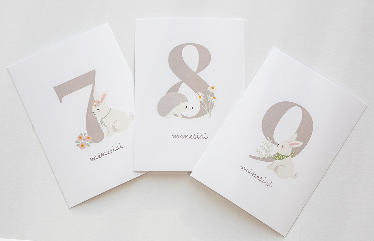 Kūdikio mėnesio kortelių rinkinys (1–12 mėn.)